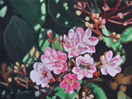 The Pollinator
9" x 12" Private Collection